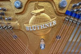 Blüthner Wappen auf dem Graugussrahmen  im Klavier