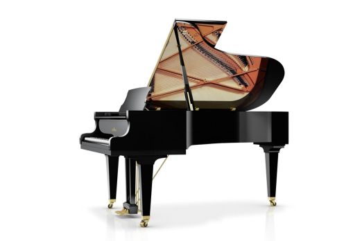 Schimmel Flügel C-213 T