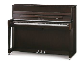 nussbaum silver