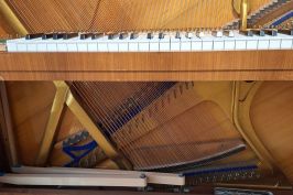 Blüthner Klavier Innenansicht mit Saiten, Resonanzboden, Tasten