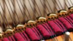 Agraffen bei der Shigeru Kawai Concert Serie