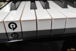 Logo IQ auf Tastenfront