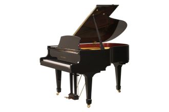 Wilh. Steinberg Flügel P 165