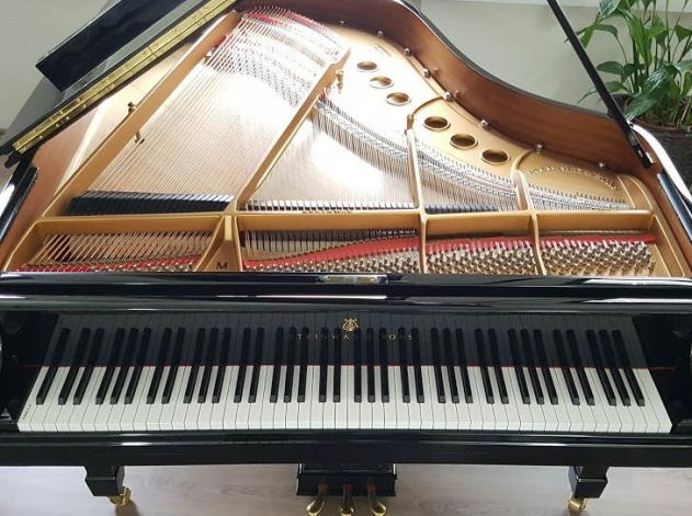 steinway fluegel m 170cm-image26