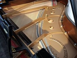 Steinway A gebraucht restauriert Bild vom Diskant