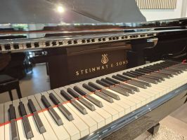 Steinway Tastenklappe mit Tasten