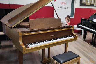 gebrauchter Kawai Flügel 178