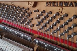 mitte-diskant-detail-steinway v125 auschnitt