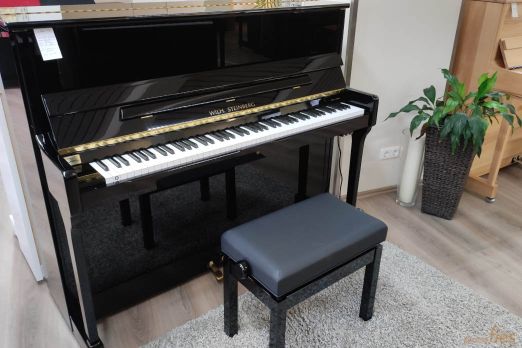 Wilh. Steinberg Konzertklavier gebraucht