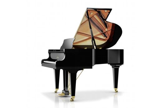 Schimmel Flügel C-169 T