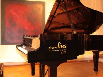 Ein Flügel von Piano Fies
