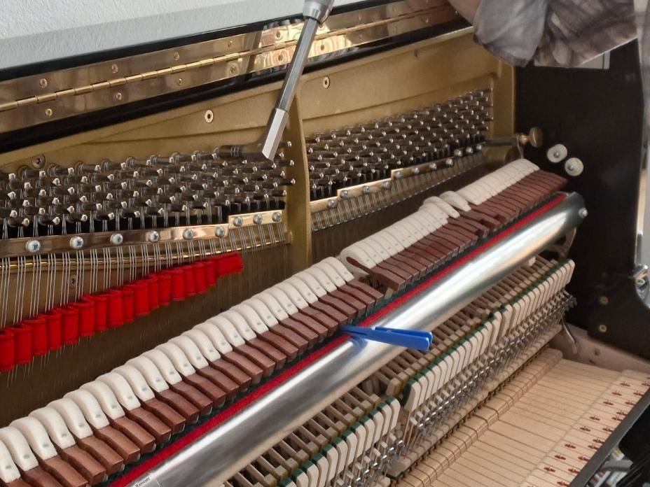 Fachgerechte Stimmung eines Klaviers in Lahr durch Piano Fies