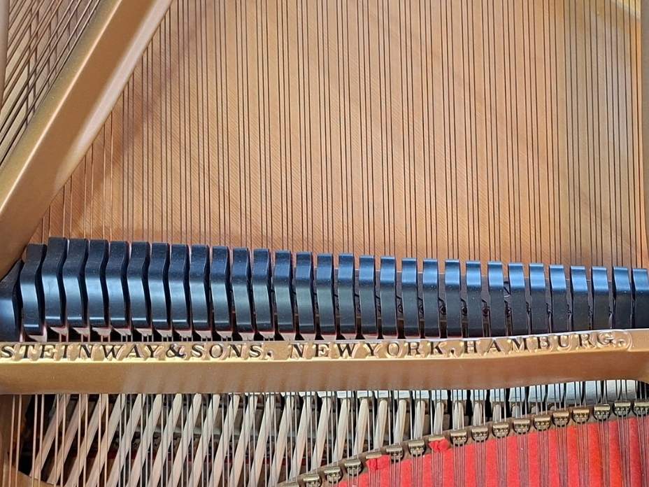 Dämpfung eines Steinway Flügels